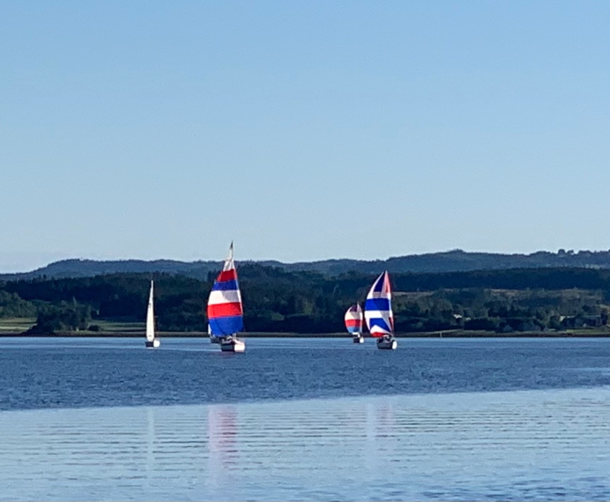 Resultatliste onsdag 26. juni&nbsp;2024